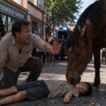 "Stop! What are you doing?!" shouted the shop owner, unaware of what the horse was about to reveal.