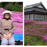 A man planted 1,000 flowers in front of his house for his wife.