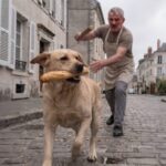 The stray dog ​​that "stole" bread every morning... until the truth broke everyone's hearts.